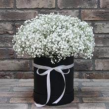 Цветочная композиция из Гипсофила в шляпной коробке #REPLACE_PRED# Комсомольце